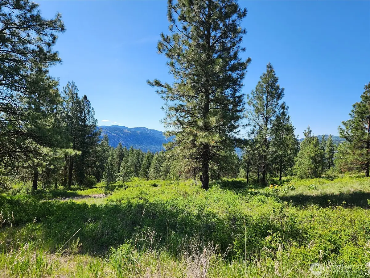 0 Gold Mountain Road #Lot 95, Republic, WA 99166 - #1