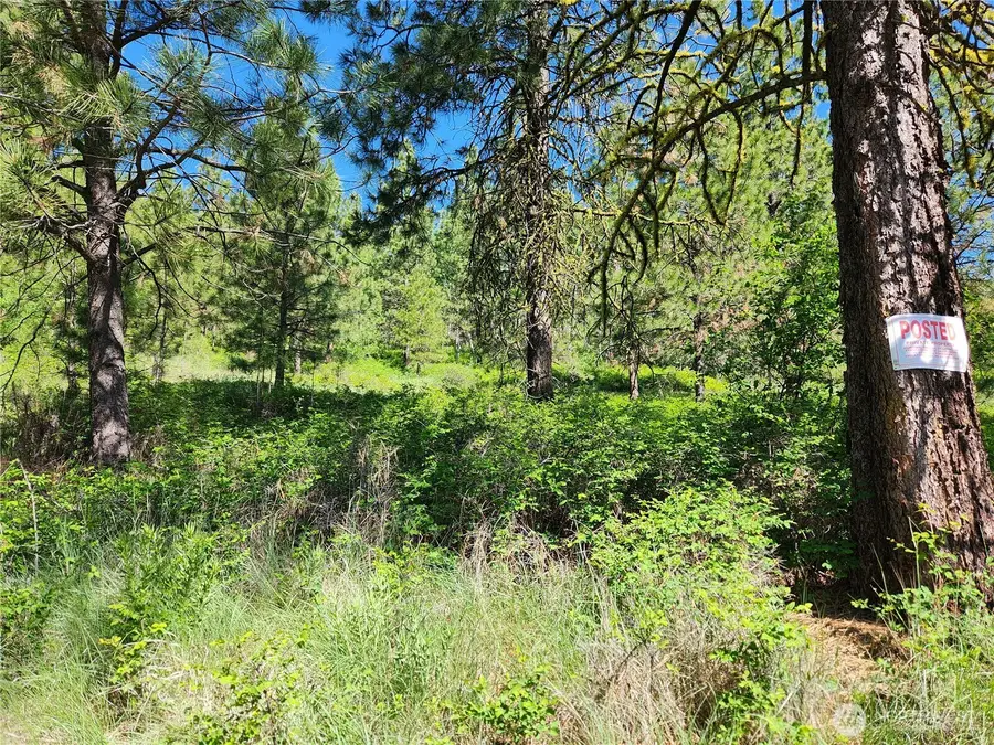 0 Gold Mountain Road #Lot 95, Republic, WA 99166 - #3