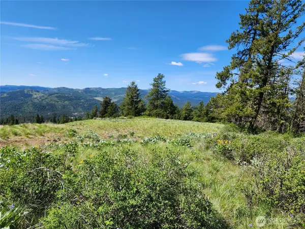0 E Knob Hill Road #Lot 79, Republic, WA 99166