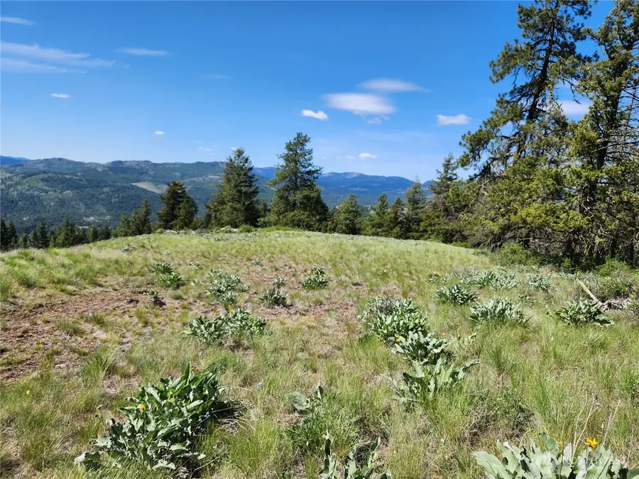 0 E Knob Hill Road #Lot 79, Republic, WA 99166 - #2