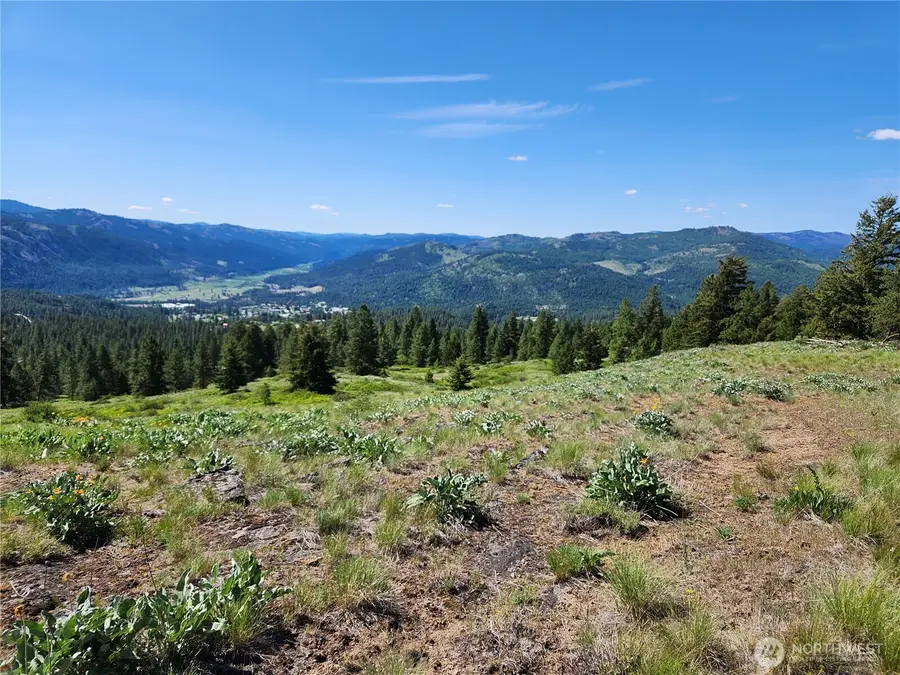 0 E Knob Hill Road #Lot 79, Republic, WA 99166 - #3