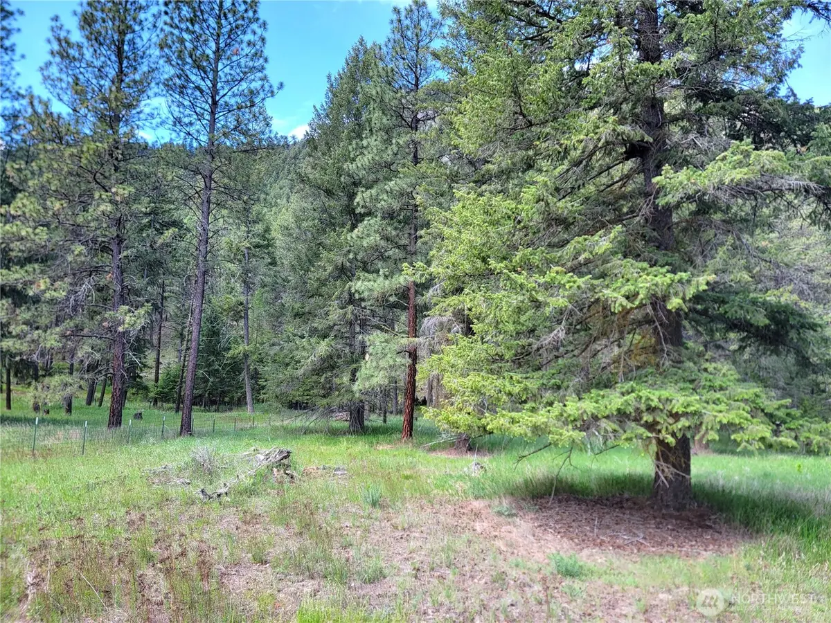 0 Evergreen Drive #Lot 14, Curlew, WA 99118 - #1