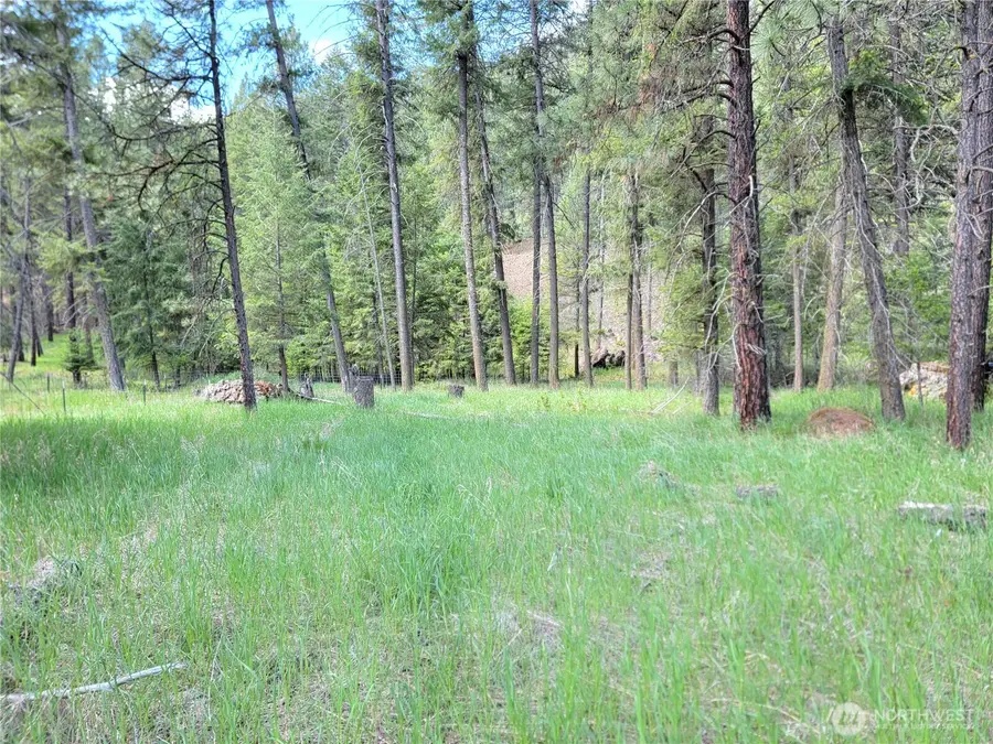 0 Evergreen Drive #Lot 14, Curlew, WA 99118 - #3