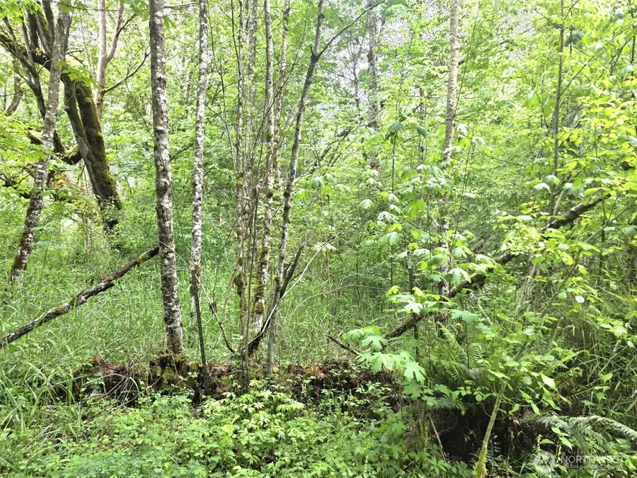 36610 48th Avenue S, Roy, WA 98580 - #3