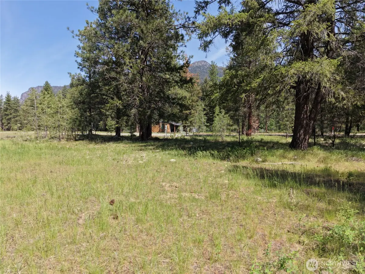 4 Mazama Meadows Lane #6, Mazama, WA 98833 - #1