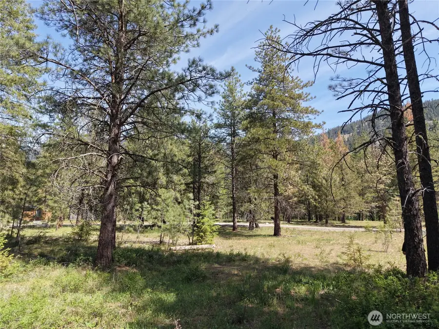 4 Mazama Meadows Lane #6, Mazama, WA 98833 - #2