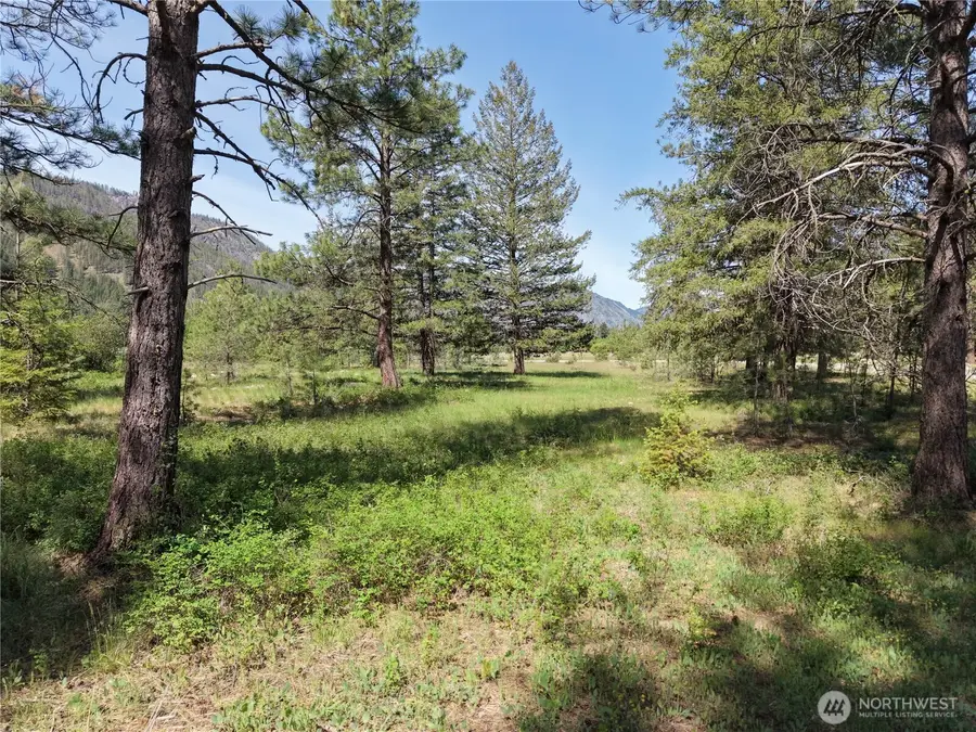 4 Mazama Meadows Lane #6, Mazama, WA 98833 - #3