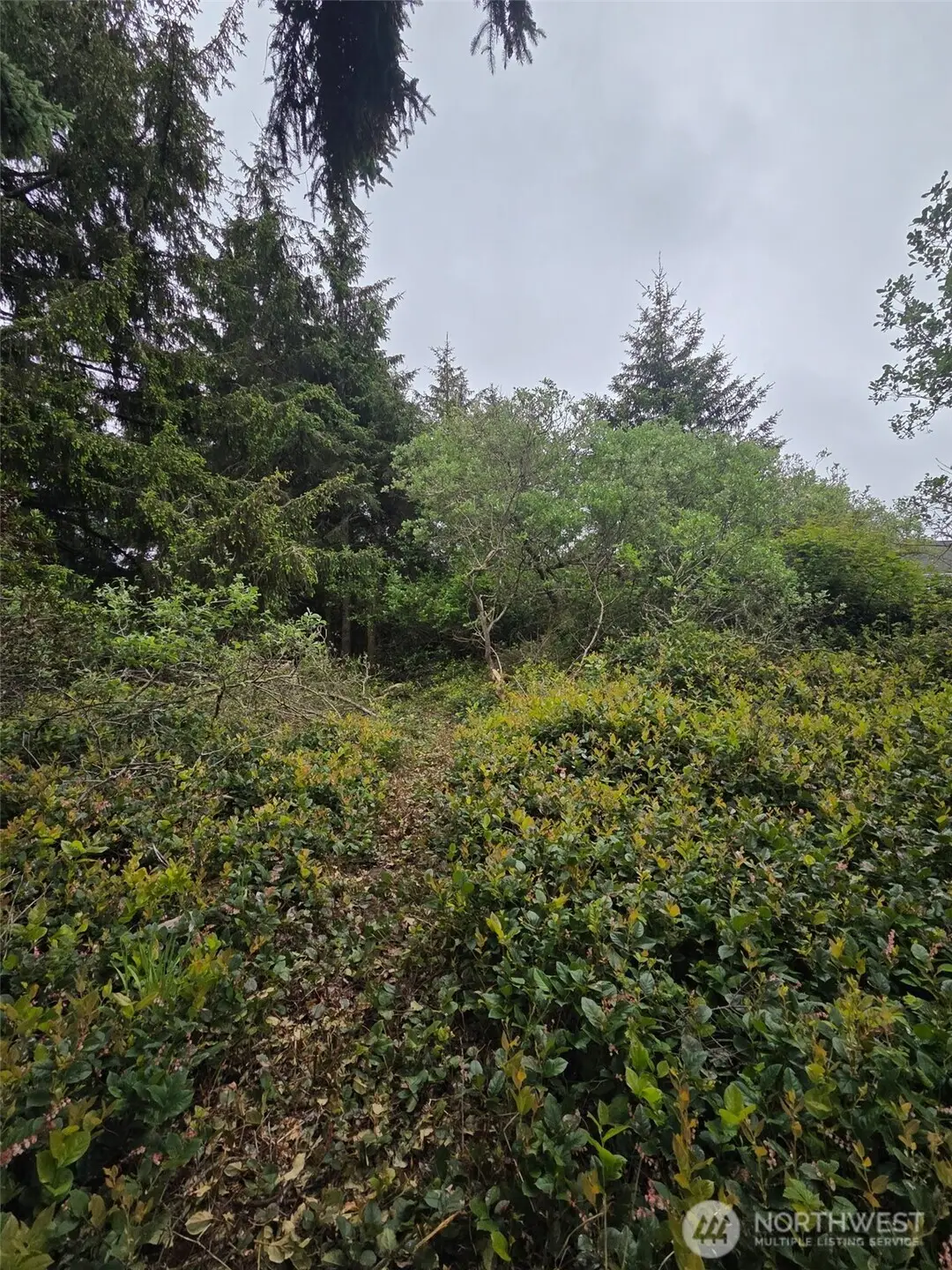 624 Wolf Ct Se #276, Ocean Shores, WA 98569 - #1