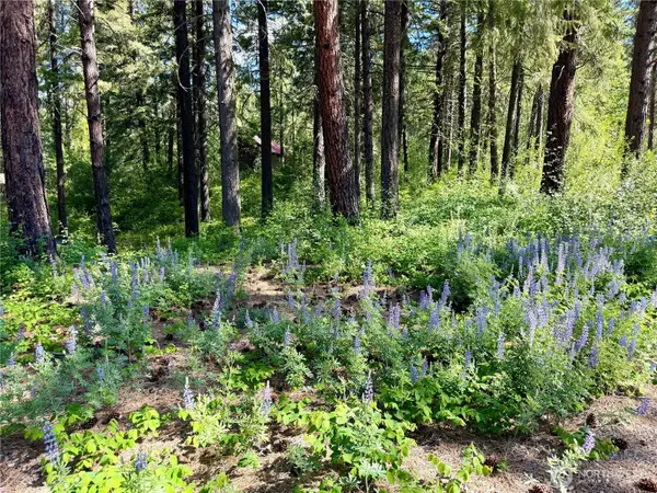 11 Highland Meadows #LOT 464, Winthrop, WA 98862