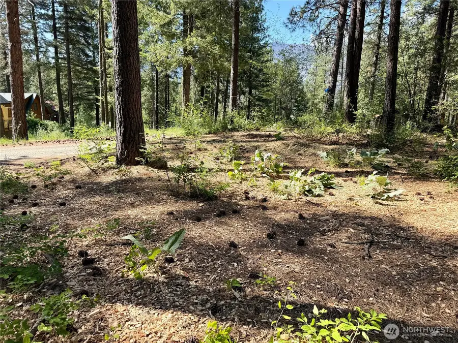 11 Highland Meadows #LOT 464, Winthrop, WA 98862 - #2