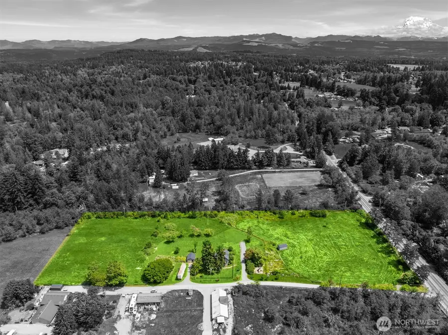 22203 117th Avenue E, Graham, WA 98338 - #3