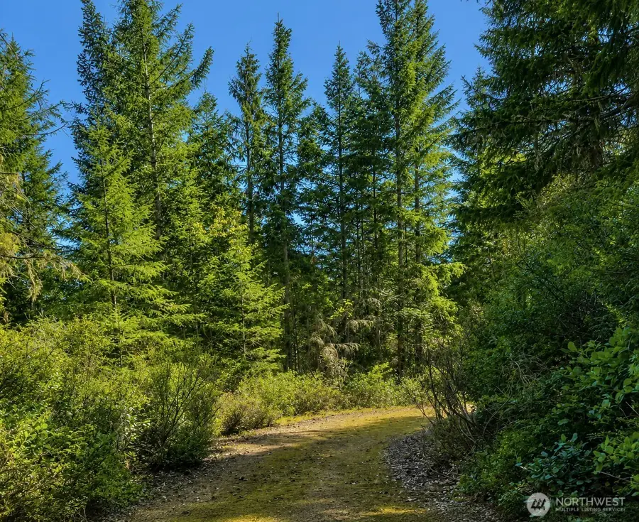 7611 N Triton Heights Road #8, Lilliwaup, WA 98555 - #2