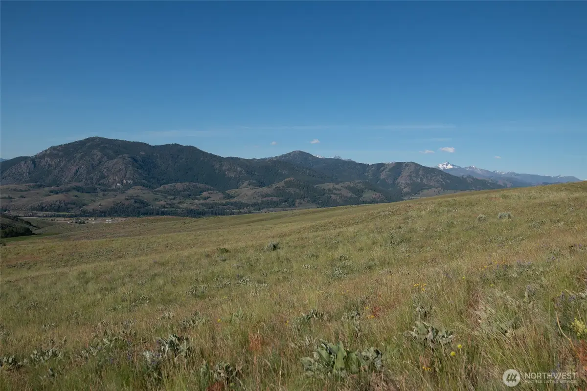 32 Maggies Road, Twisp, WA 98856 - #1