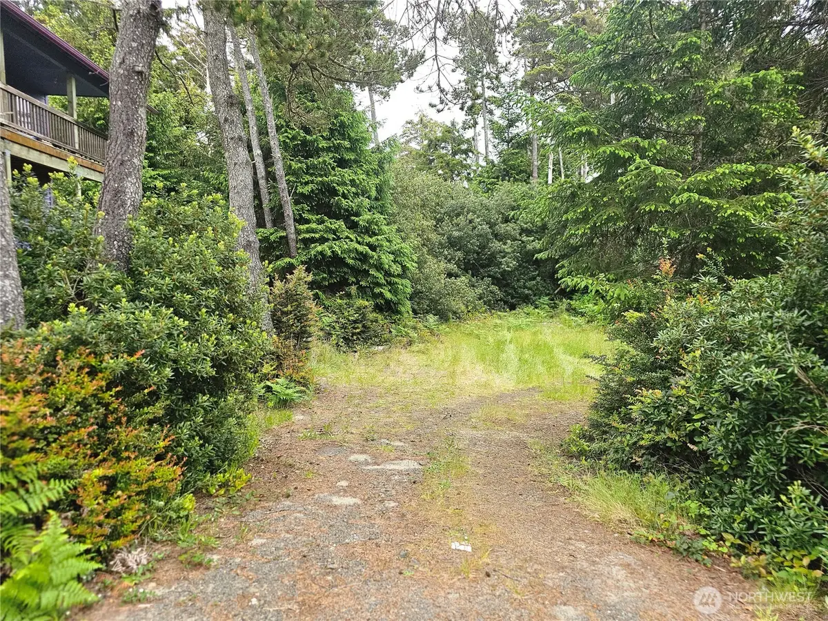 30808 J Place, Ocean Park, WA 98640 - #1