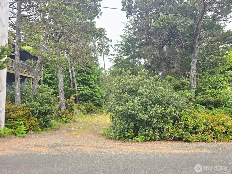 30808 J Place, Ocean Park, WA 98640 - #2