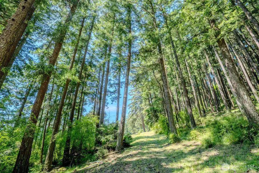 521 Vusario Lane #1, Orcas, WA 98245 - #2