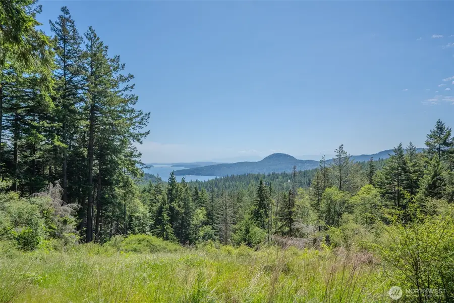 521 Vusario Lane #1, Orcas, WA 98245 - #3