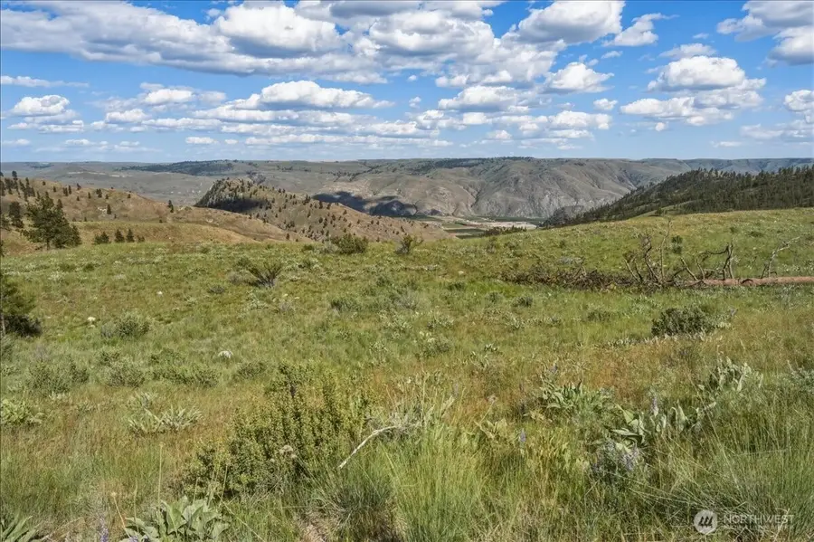 6575 Union Valley Road, Chelan, WA 98816 - #3