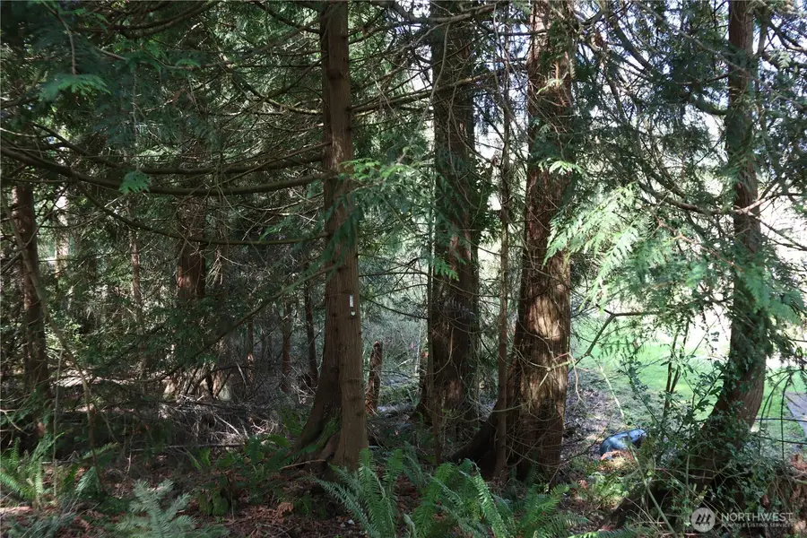 260 SE 18th Place, Sammamish, WA 98075 - #2