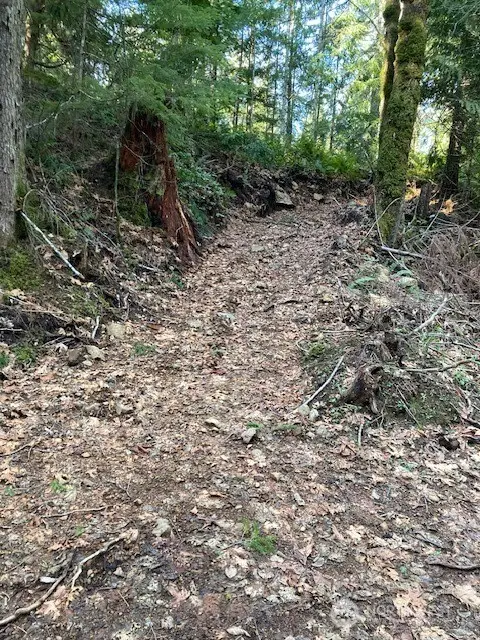 0 N Dow Ridge #14, Hoodsport, WA 98548 - #2