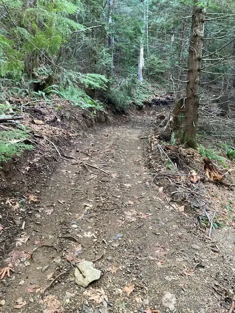 0 N Dow Ridge #14, Hoodsport, WA 98548 - #3