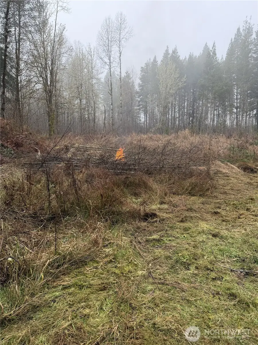 310 Oyler Road, Ethel, WA 98542 - #2