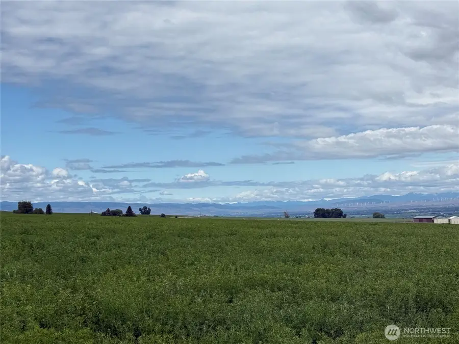 11 Borland Road, Ellensburg, WA 98926 - #3