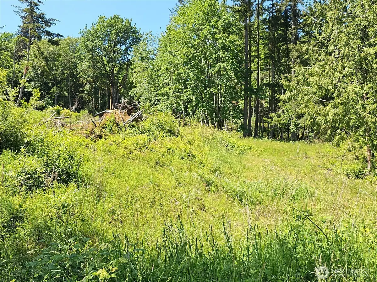 222 Triangle Cove Lane, Camano Island, WA 98282 - #1
