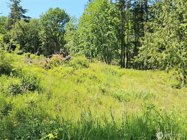 222 Triangle Cove Lane, Camano Island, WA 98282