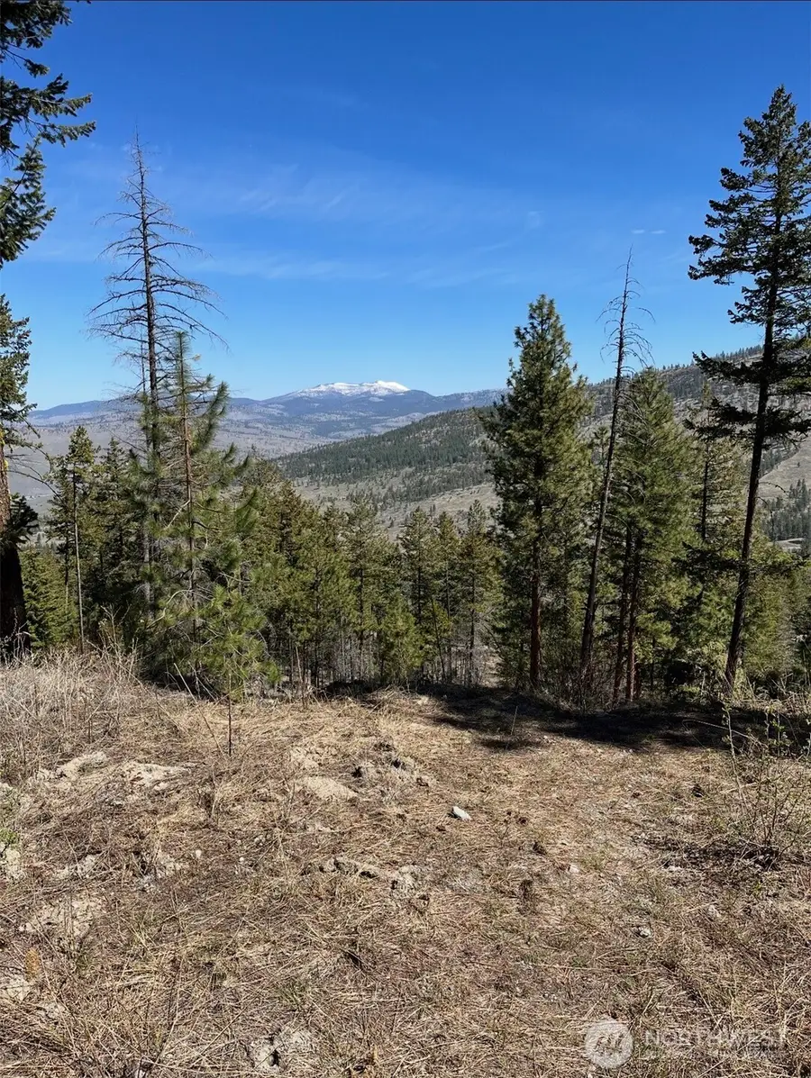 0 Tbd Broken Spoke Road, Tonasket, WA 98855 - #2