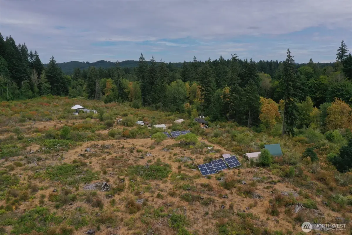 15221 Vantine Road Se, Tenino, WA 98589 - #1