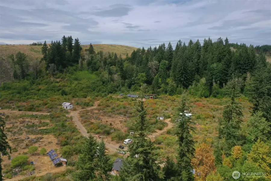 15221 Vantine Road Se, Tenino, WA 98589 - #2