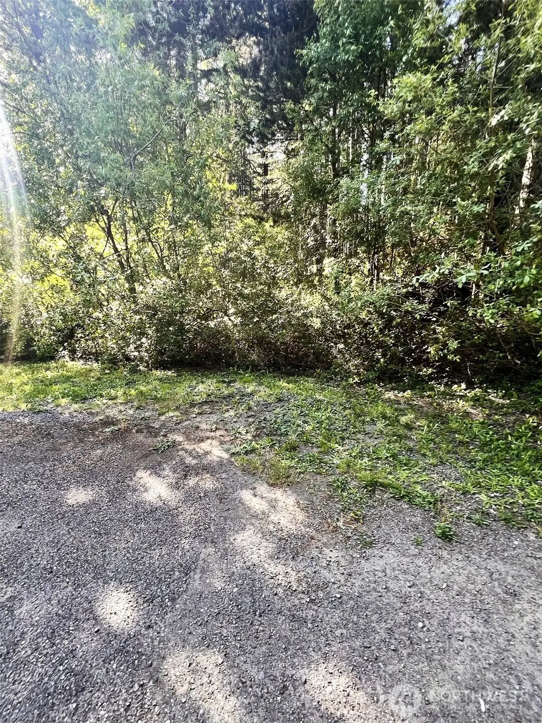 61 NE Fern Court #S 50 ft of Lot 13, Tahuya, WA 98588 - #1