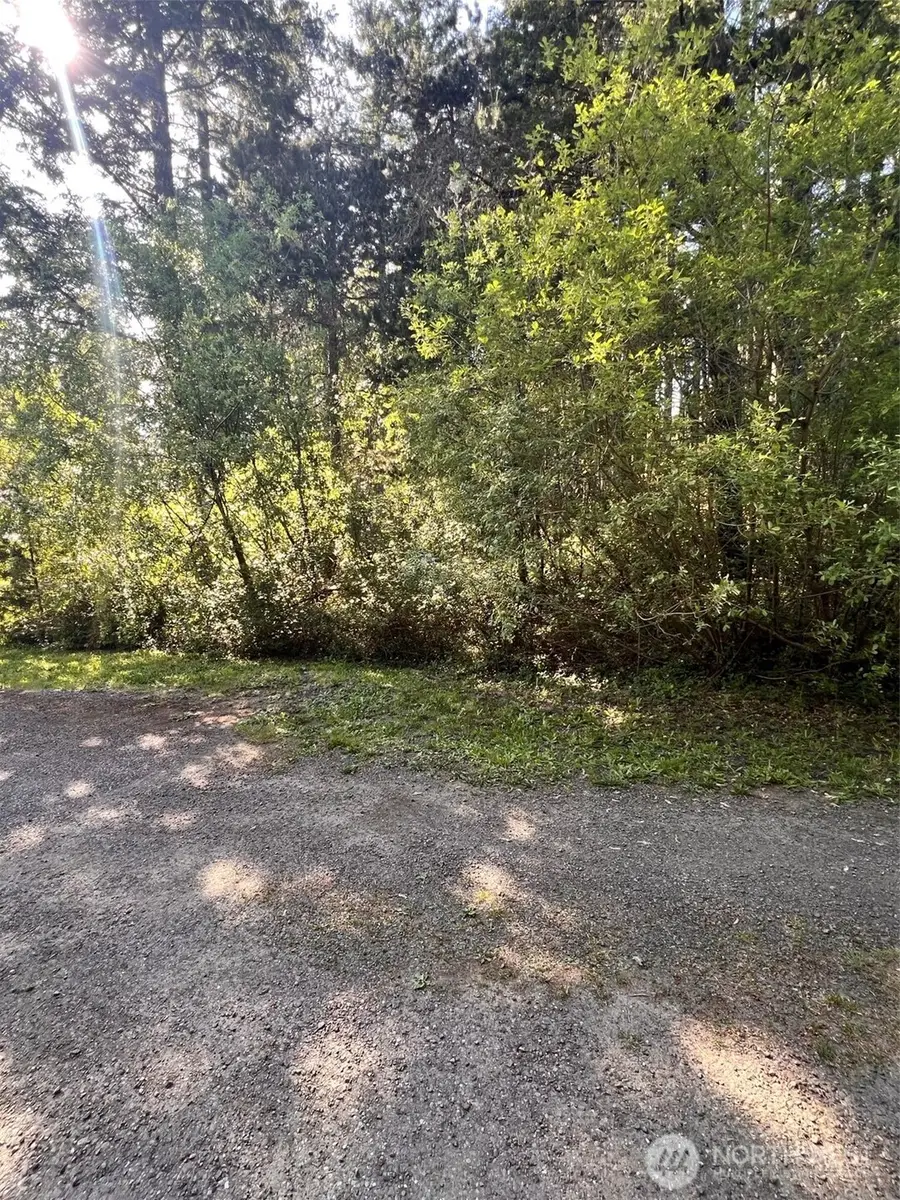 61 NE Fern Court #S 50 ft of Lot 13, Tahuya, WA 98588 - #2