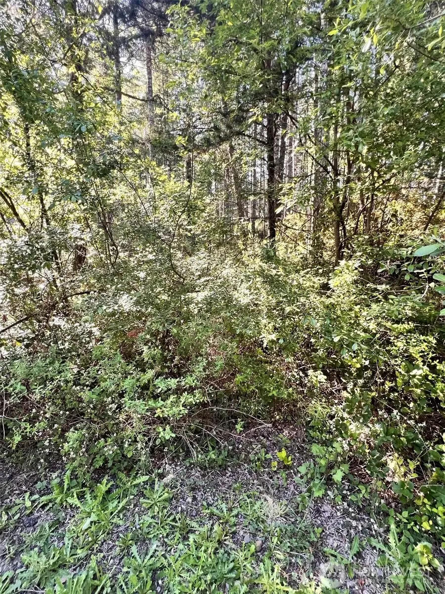 61 NE Fern Court #S 50 ft of Lot 13, Tahuya, WA 98588 - #3