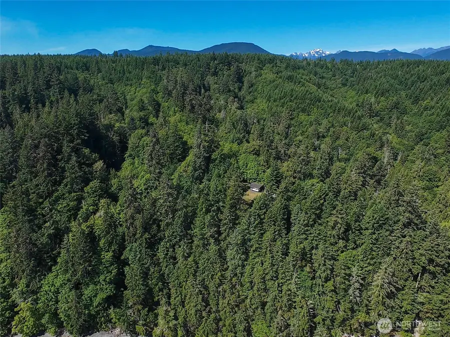 496 Last Camp Street #4, Quilcene, WA 98376 - #2