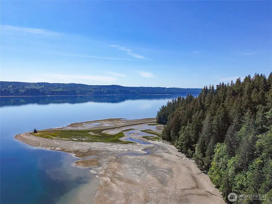 496 Last Camp Street #4, Quilcene, WA 98376 - #3