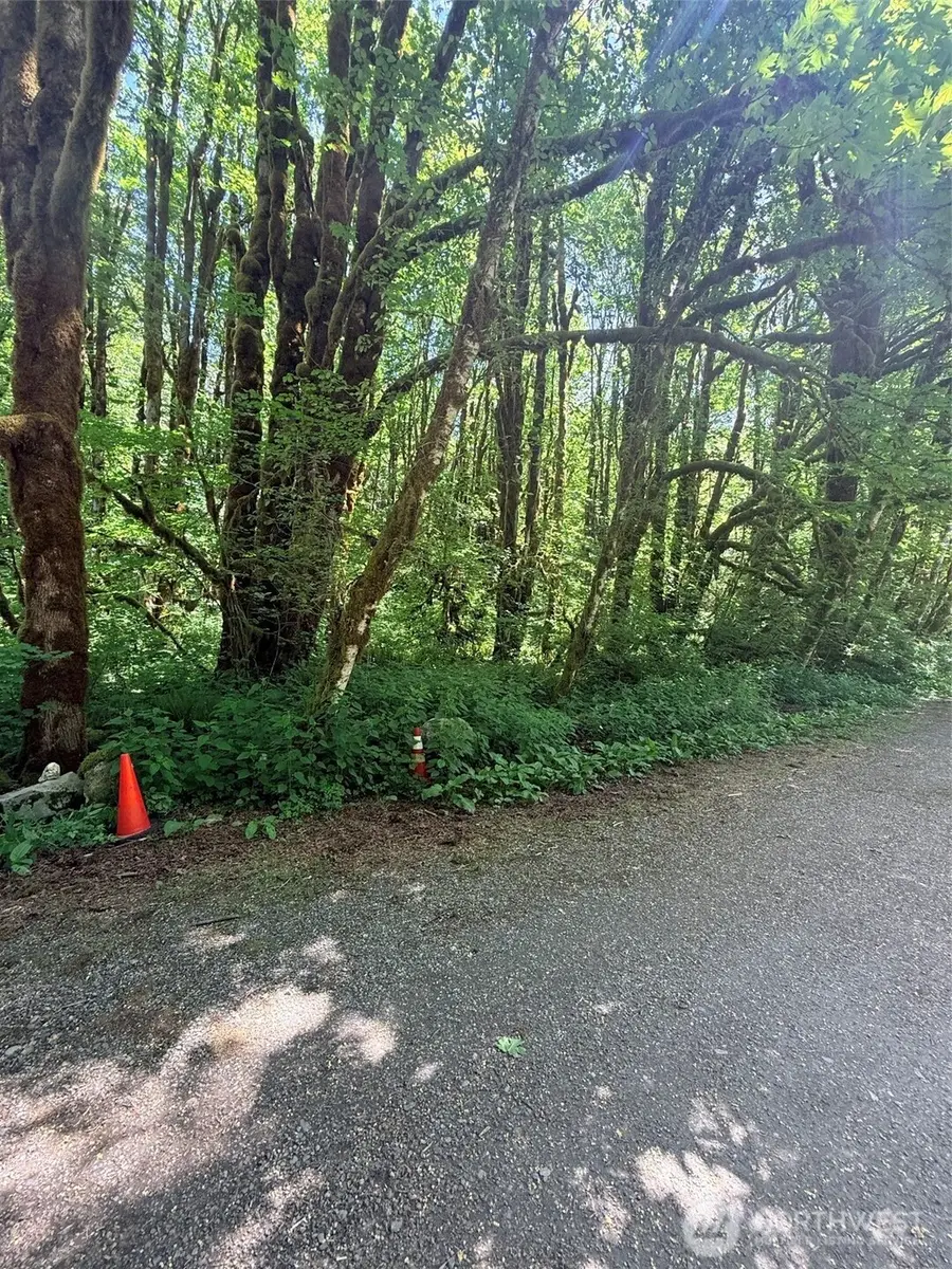 10204 Foss River Place Ne, Skykomish, WA 98288 - #3