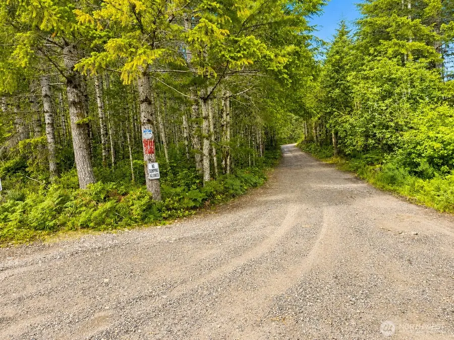 1170 NE Shoe Lake Road, Tahuya, WA 98588 - #2