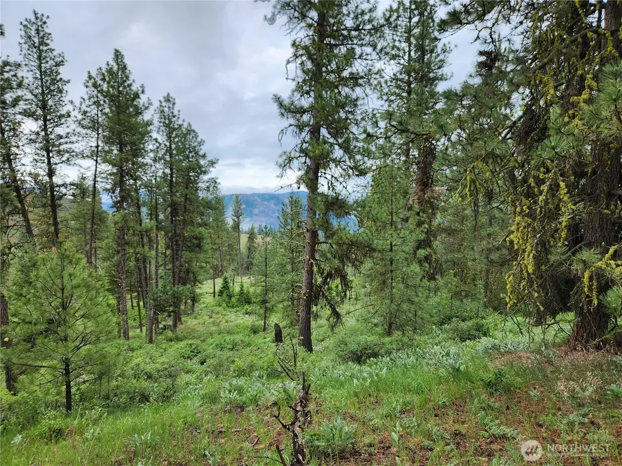 0 Gold Mt. Road #Lots 74 & 75, Republic, WA 99166 - #3