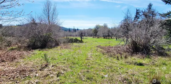 0 W Cloquallum Road, Shelton, WA 98584