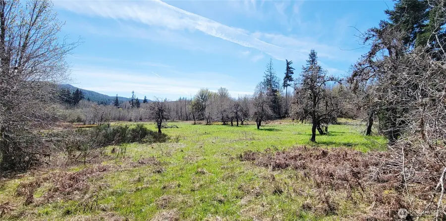 0 W Cloquallum Road, Shelton, WA 98584 - #2