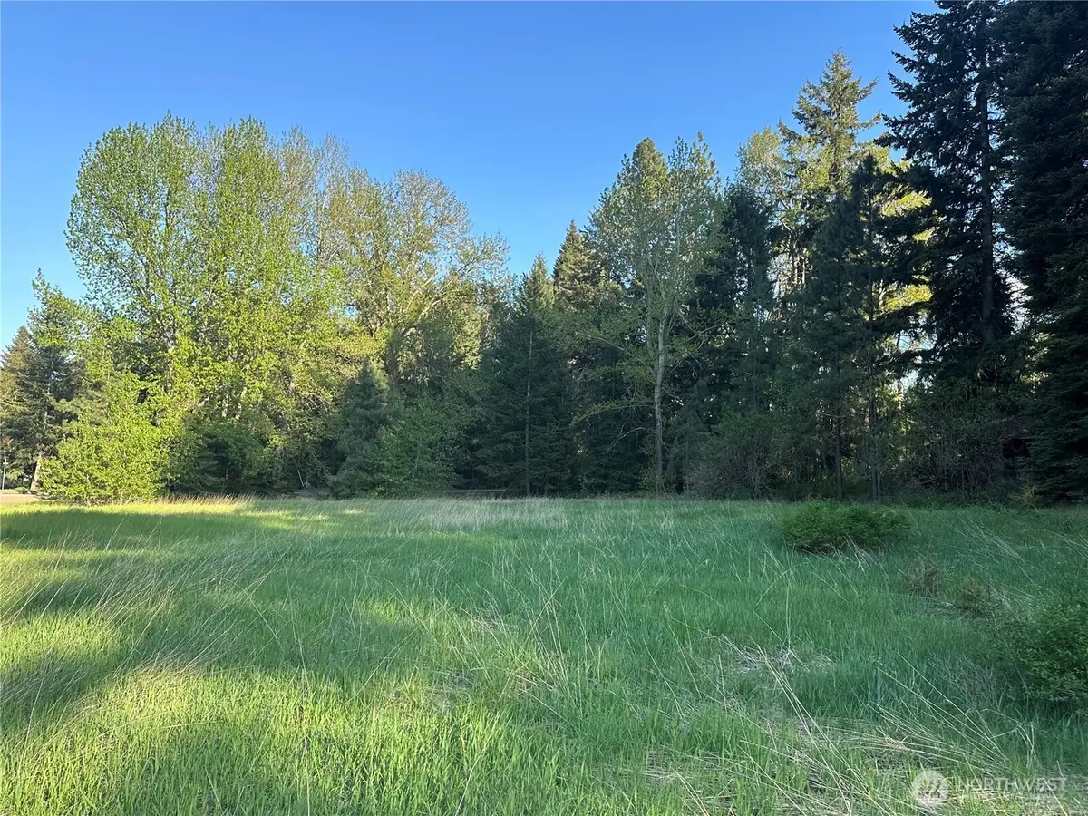 0 Beaver Lane, Cle Elum, WA 98922 - #1