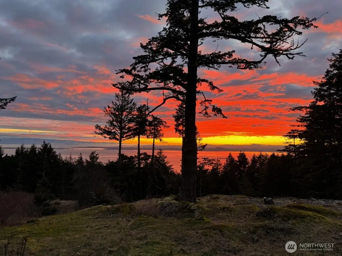 30 Rascal Road, Friday Harbor, WA 98250 - #1