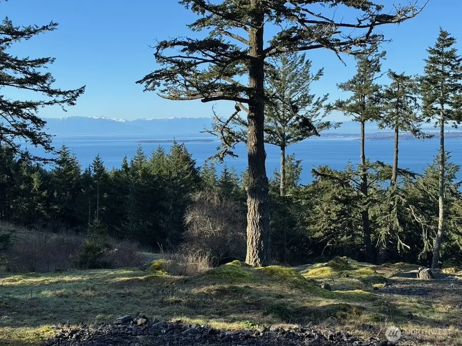 30 Rascal Road, Friday Harbor, WA 98250 - #2