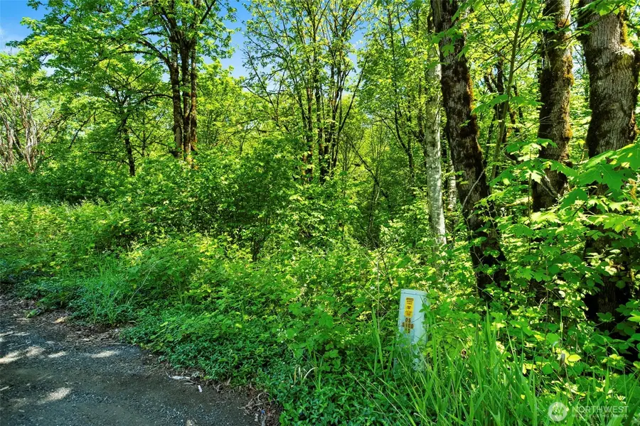 0 Lewisville Highway, Yacolt, WA 98675 - #3