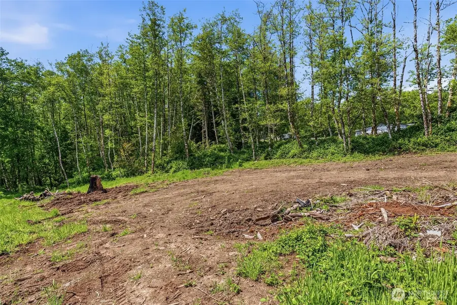 303 Upperwest Road, Castle Rock, WA 98611 - #3