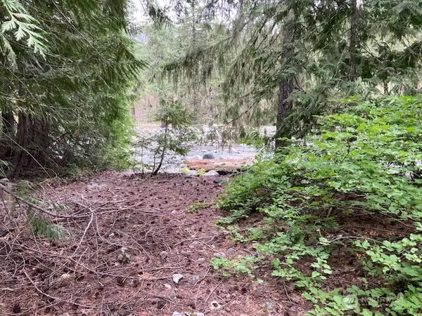 1 Fs Rd 4330, Ronald, WA 98940