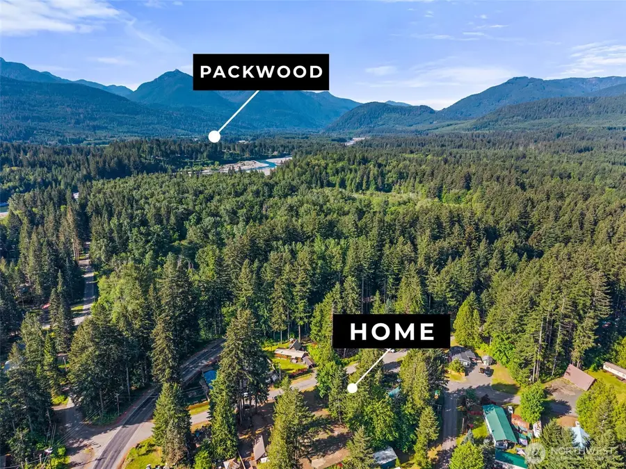 110 Mt Rainier Drive, Packwood, WA 98361 - #3