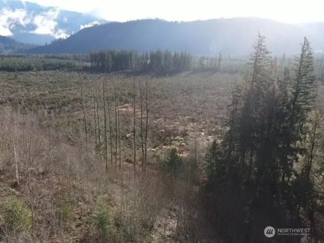 9523 Heady Road #3, Sumas, WA 98295 - #3